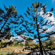 บรรยากาศ Sawdust Café