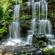 Timberton Resort Khaoyai