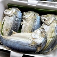 เมนูของร้าน ดา ปลาทูแม่กลอง ตลาดแม่กลอง