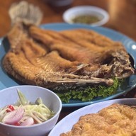 บ้านต้นไม้