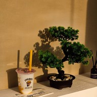 Yoguruto Food Stock พัฒนาการ