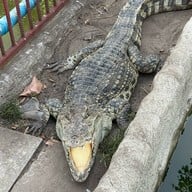 บรรยากาศ วัดจักรวรรดิราชวาสวรมหาวิหาร