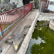 บรรยากาศ วัดจักรวรรดิราชวาสวรมหาวิหาร