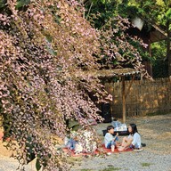 ตลาดนัดขนมปัง นานาจังเกิ้ล (บ้านสวนไผ่ล้อม)