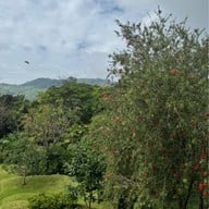 บ้านม่อนม่วน