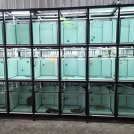 บรรยากาศ โชคฮั่งมี