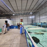 บรรยากาศ โชคฮั่งมี