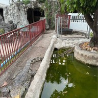 บรรยากาศ วัดจักรวรรดิราชวาสวรมหาวิหาร