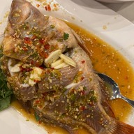 โรงแรมวังใต้