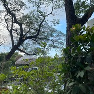 iki haus sukhumvit 71