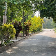 วัดน้ำฉ่า