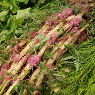 เมนูของร้าน เจ๊ราตรี ผักสด ตลาดเอซี สายไหม