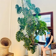 Bluehouse cafe Sriracha