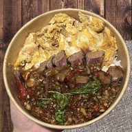 แมวล่าเนื้อ - cat hunter