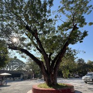 น้องนิว ไอศครีม รสพระทำ