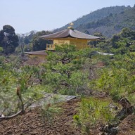 Kinkakuji Temple