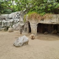 ซาฟารีเวิลด์