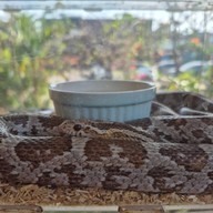 Bluegold Roaster ถ.ประดิษฐ์มนูธรรม