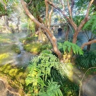 CHOM Cafe & Restaurant