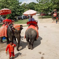 วังช้างอยุธยาแลเพนียด