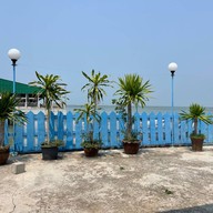 ทะเลทอง