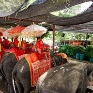 วังช้างอยุธยาแลเพนียด