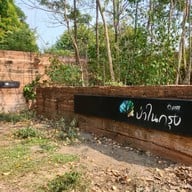 ป่าในกรุง