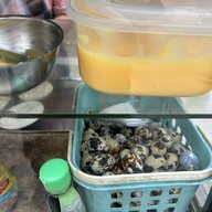 ขนมโตเกียว BTS สนามเป้า