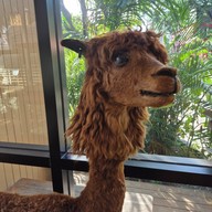 Bluegold Roaster ถ.ประดิษฐ์มนูธรรม