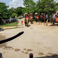 วังช้างอยุธยาแลเพนียด