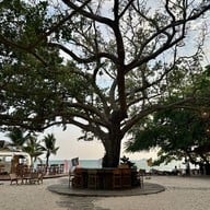 She Sails Cafe & Beach Club