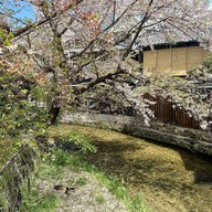 kyoto