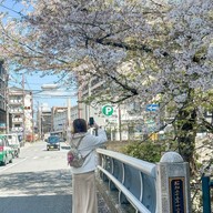 kyoto