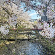 kyoto