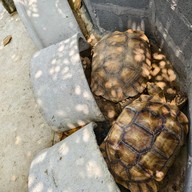 บรรยากาศ ร้านปทุมบุรี