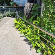 หน้าร้าน Café Amazon - DD2056 ปั๊มลุงเท่ง (ขาขึ้น)