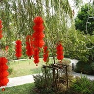 Tarine Cafe ธารีน คาเฟ่ กาญจนาภิเษก 4