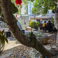 เล๊าเป็ดย่างอินเตอร์