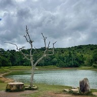 อ่างเก็บน้ำสายศร