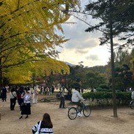 บรรยากาศ Nami Island