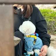 Nami Island