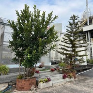 บรรยากาศ ศูนย์เกษตรวิถีเมือง