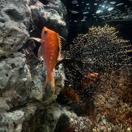 Atmosphere of Xpark Aquarium