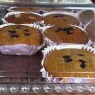 อยู่ป่า -