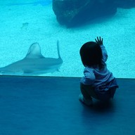 Atmosphere of Xpark Aquarium