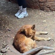 บึงกาฬ ถ้ำนาคา