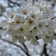 Nogata Reverside Park