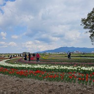 Nogata Reverside Park
