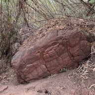 บึงกาฬ ถ้ำนาคา