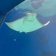 Atmosphere of Xpark Aquarium